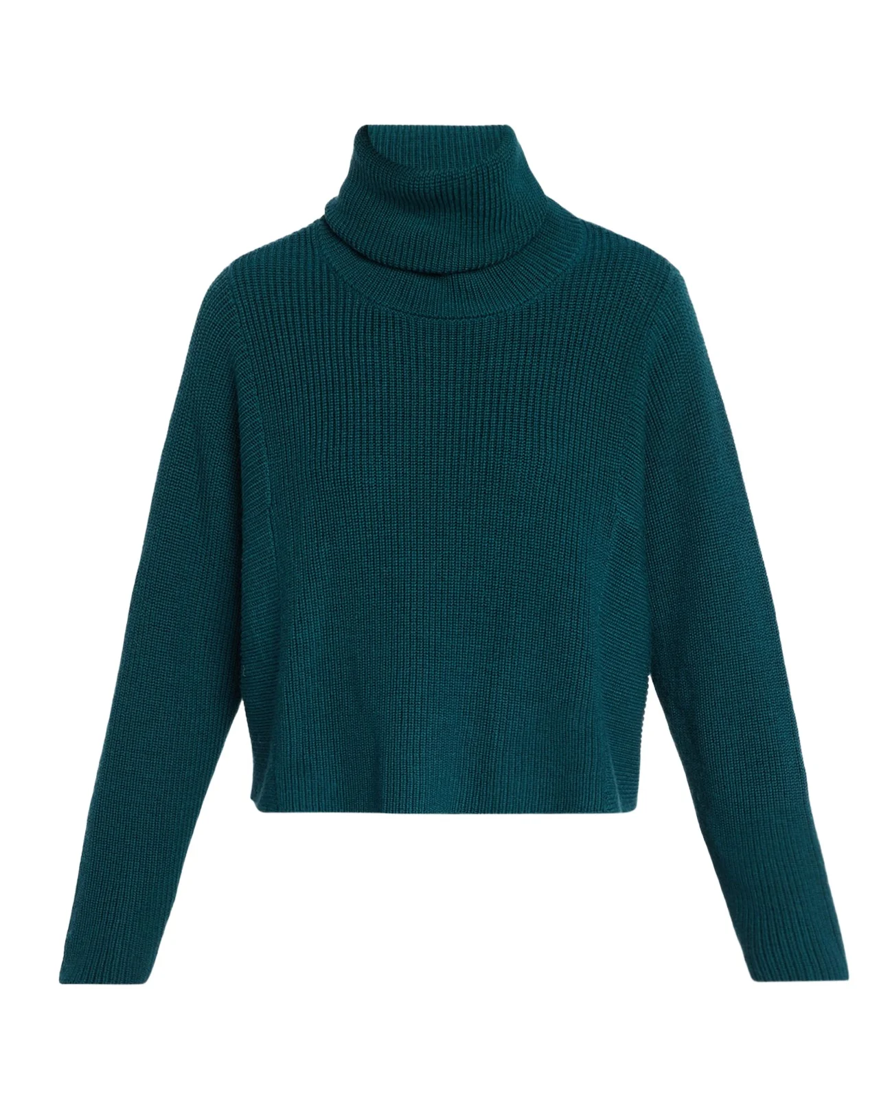 Ribbed Wool Turtleneck Sweater