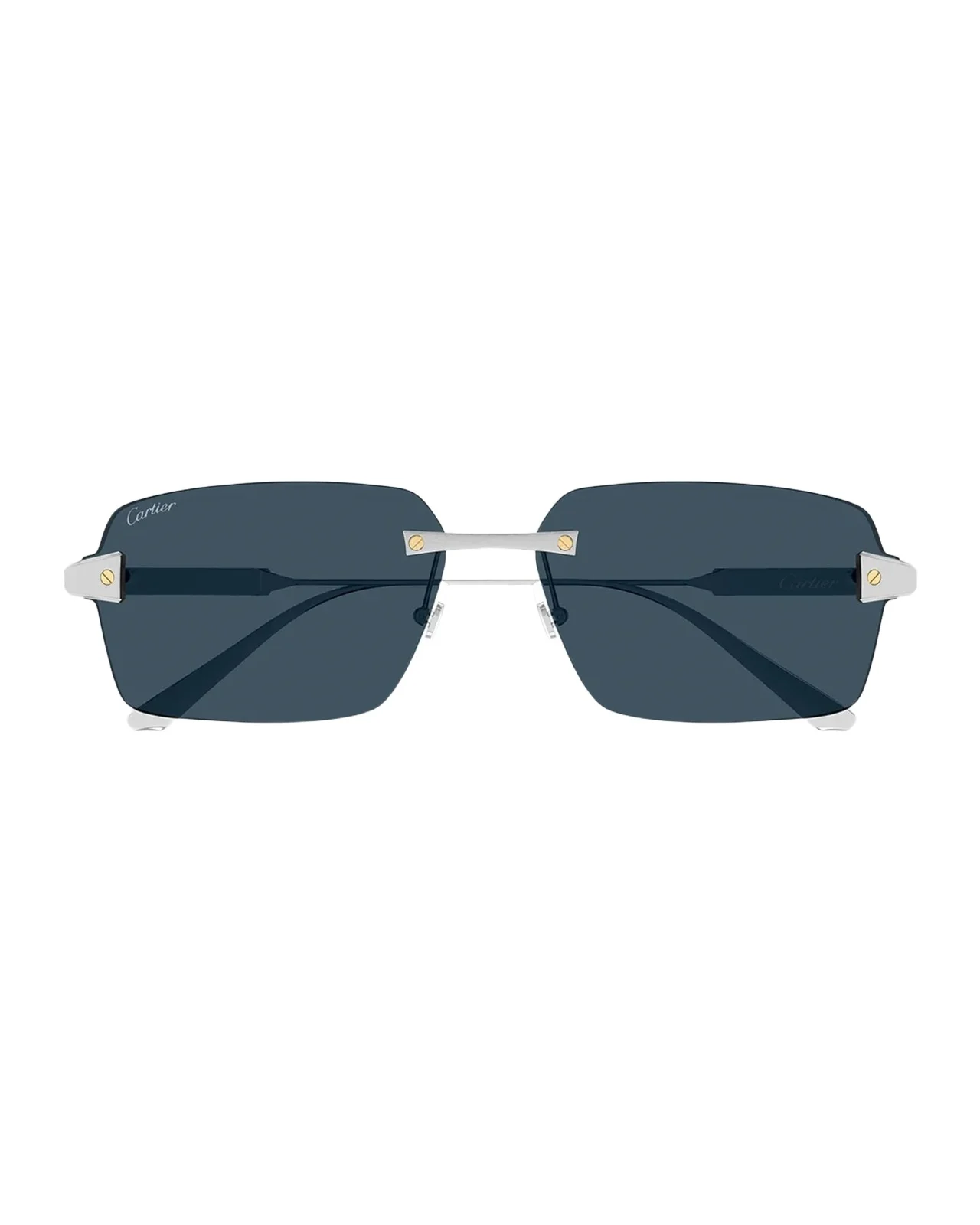 Cartier Men's CT0652S Santos Classic Titanium Rectangular Sunglasses