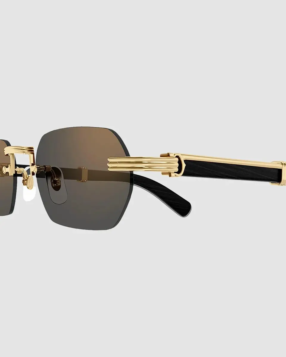 Cartier Men's Rimless Titanium Rectangle Sunglasses | Thumbnail 3 Cartier Men's Rimless Titanium Rectangle Sunglasses | Thumbnail 3