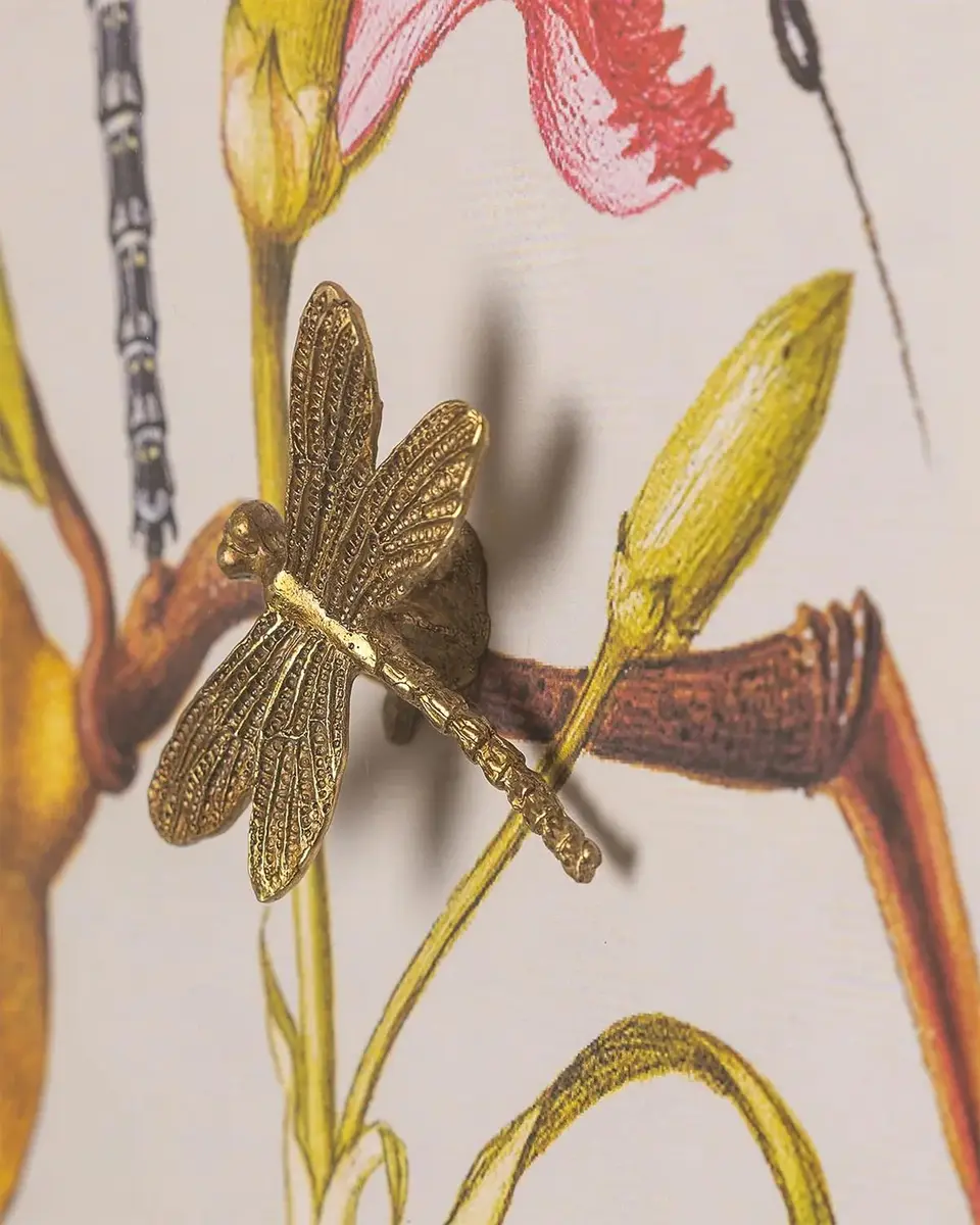 Port 68 Dragonfly I Giclee | Thumbnail 4