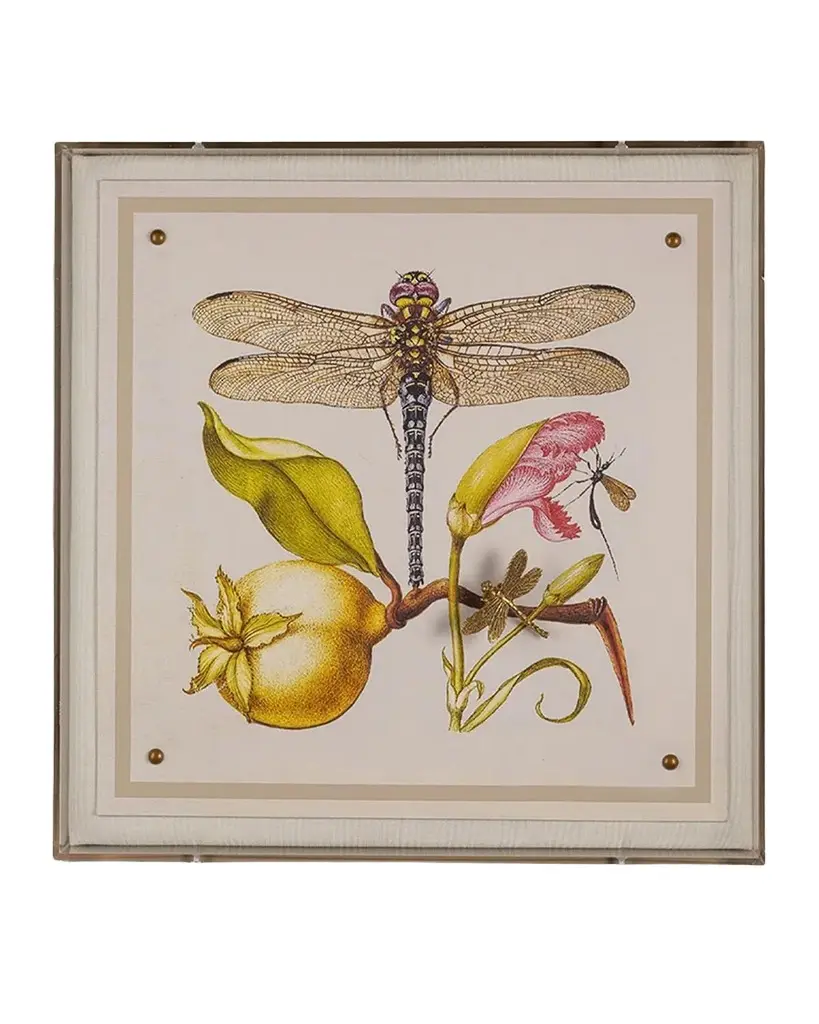 Port 68 Dragonfly I Giclee
