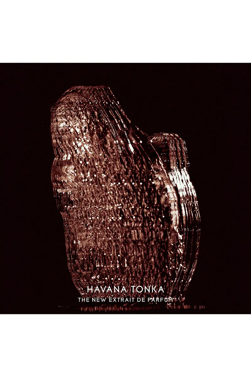 BYREDO Havana Tonka Perfume Extract | Thumbnail 4 BYREDO Havana Tonka Perfume Extract | Thumbnail 4