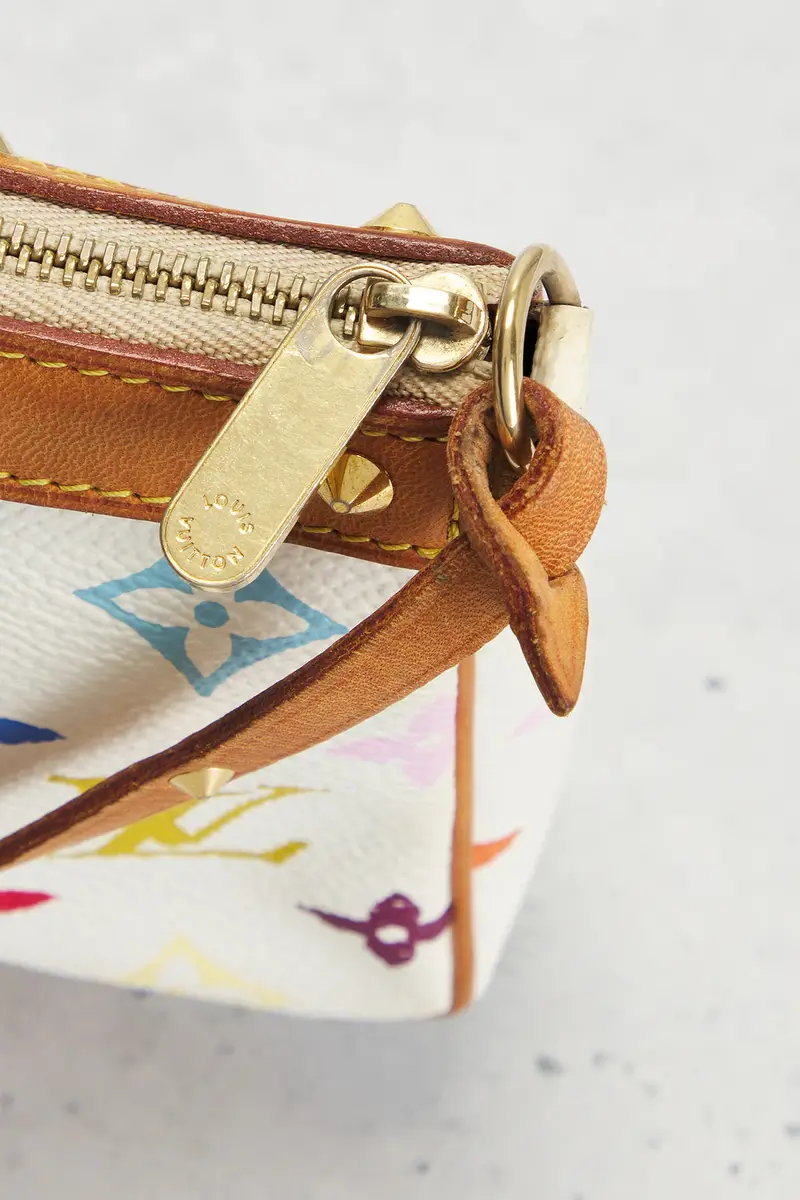 Louis Vuitton Louis Vuitton Monogram Pochette Accessoires Shoulder Bag | Thumbnail 8