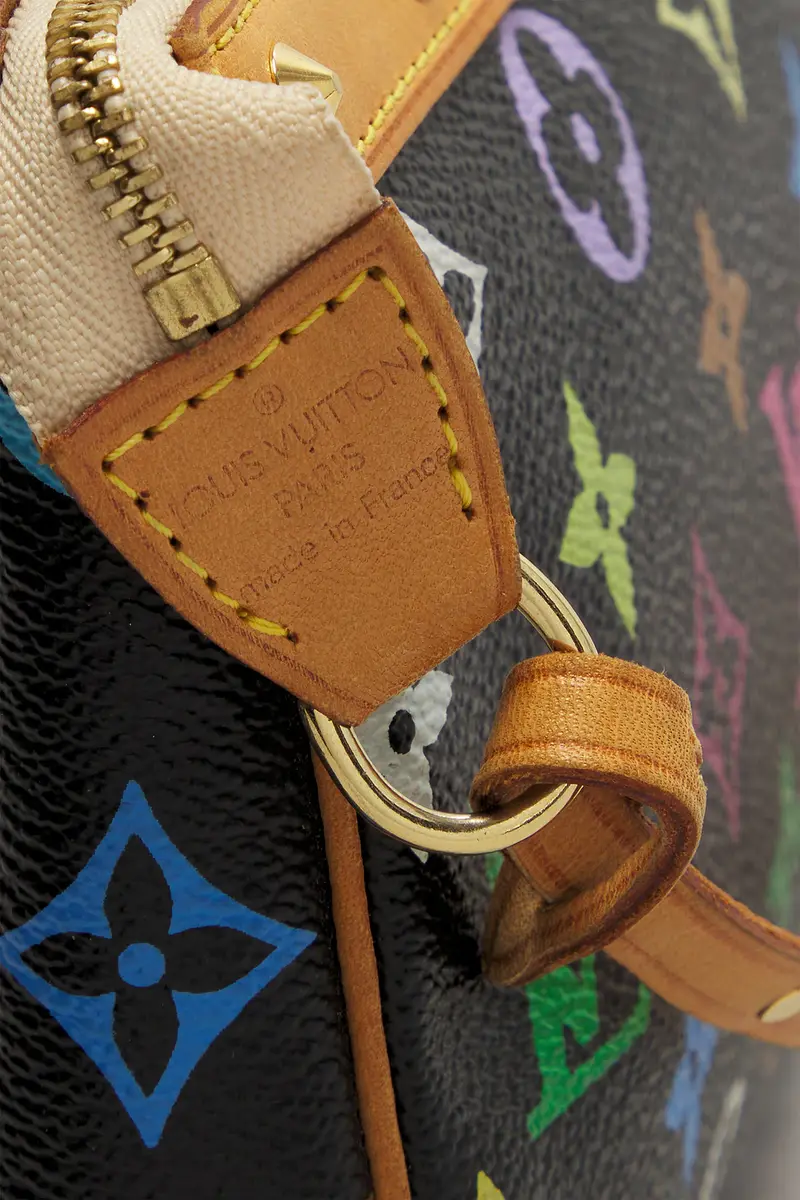Louis Vuitton Louis Vuitton Monogram Pochette Accessoires Shoulder Bag | Thumbnail 6