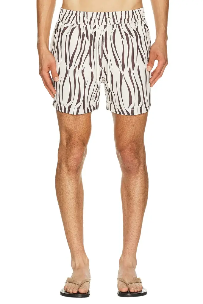 Frescobol Carioca Rio Vento Print Swim Short
