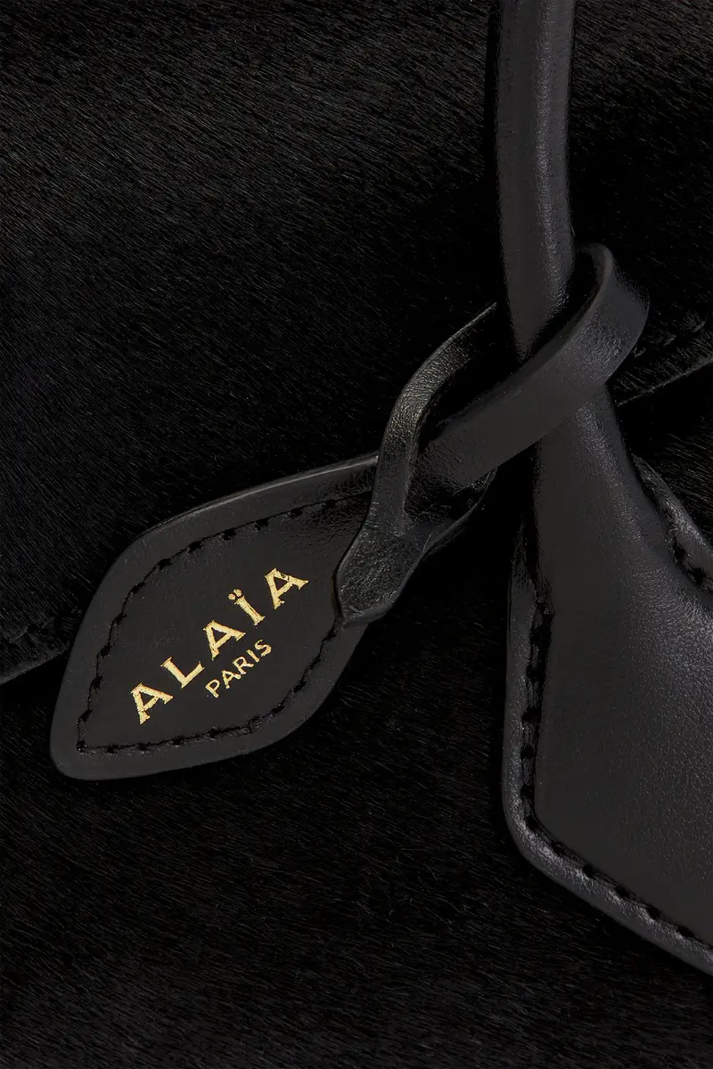 Alaïa Small Teckel Flap Bag | Thumbnail 7 Alaïa Small Teckel Flap Bag | Thumbnail 7