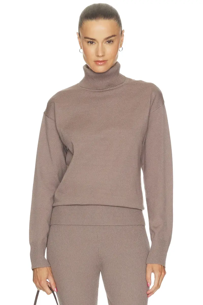 Laney Turtleneck Sweater Laney Turtleneck Sweater