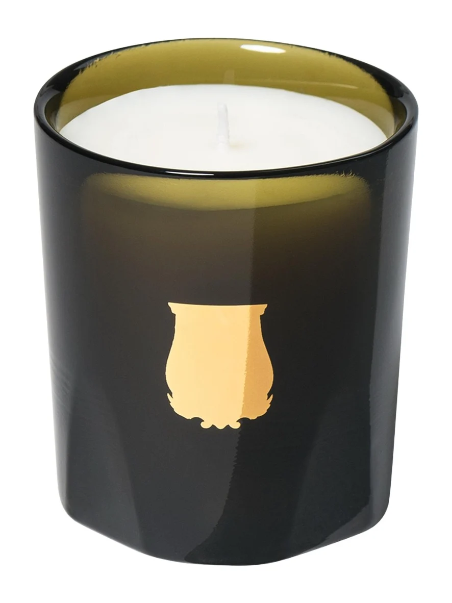 TRUDON Ernesto Leather & Tobacco Candle
