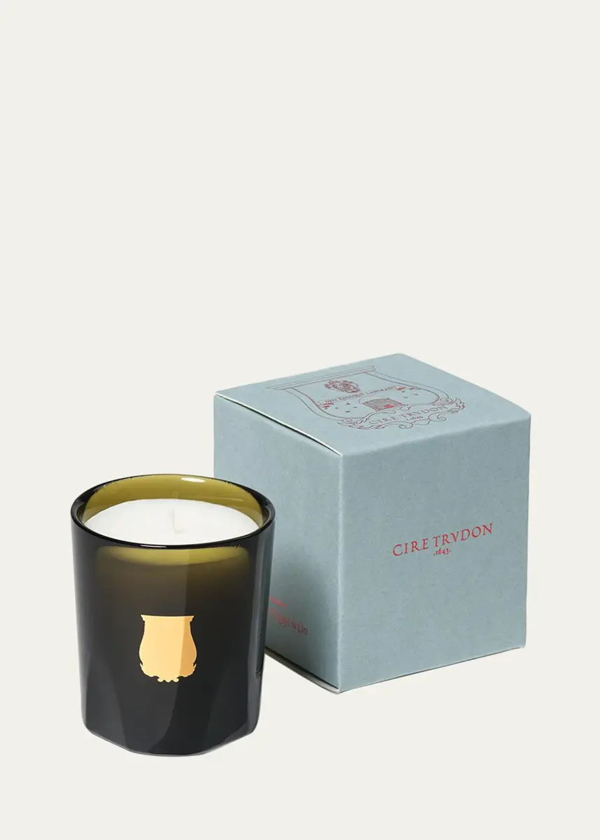 TRUDON Gabriel Petit Candle, Gourmand Chimney Fire | Thumbnail 2 TRUDON Gabriel Petit Candle, Gourmand Chimney Fire | Thumbnail 2