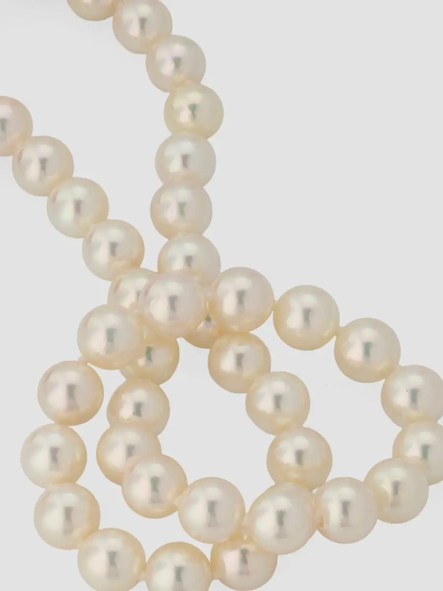 Belpearl Women's 18K White Gold & Akoya Pearl Necklace/7-8.5MM | Thumbnail 3 Belpearl Women's 18K White Gold & Akoya Pearl Necklace/7-8.5MM | Thumbnail 3
