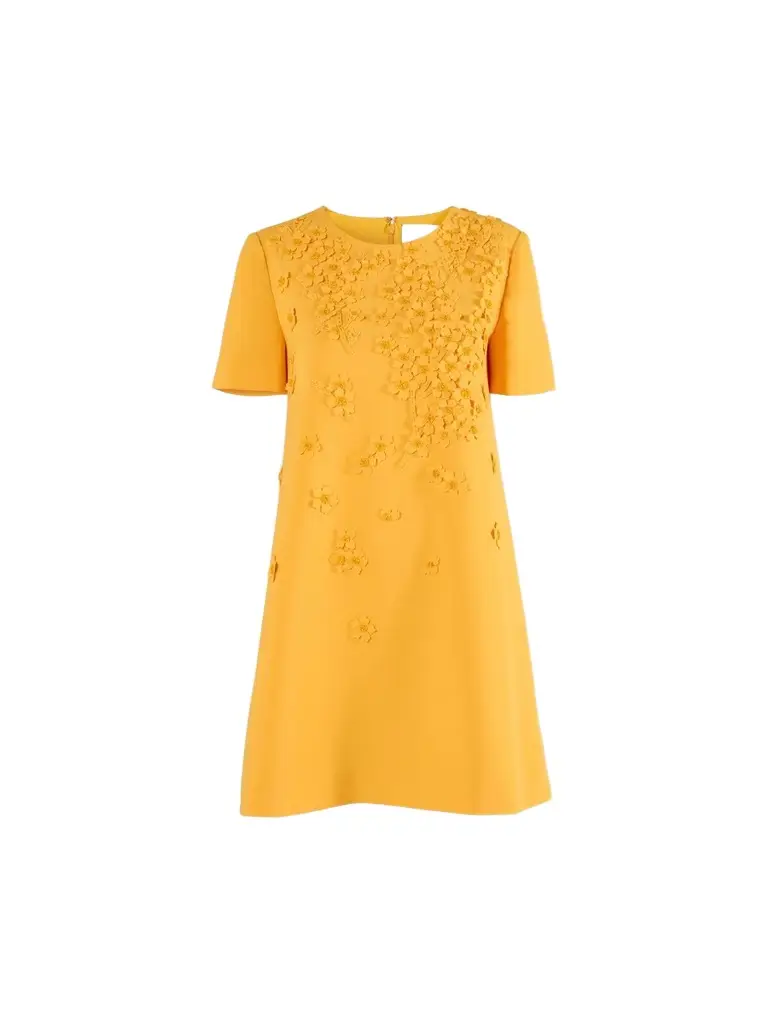 Women's Floral Appliqué A-Line Mini Dress Women's Floral Appliqué A-Line Mini Dress