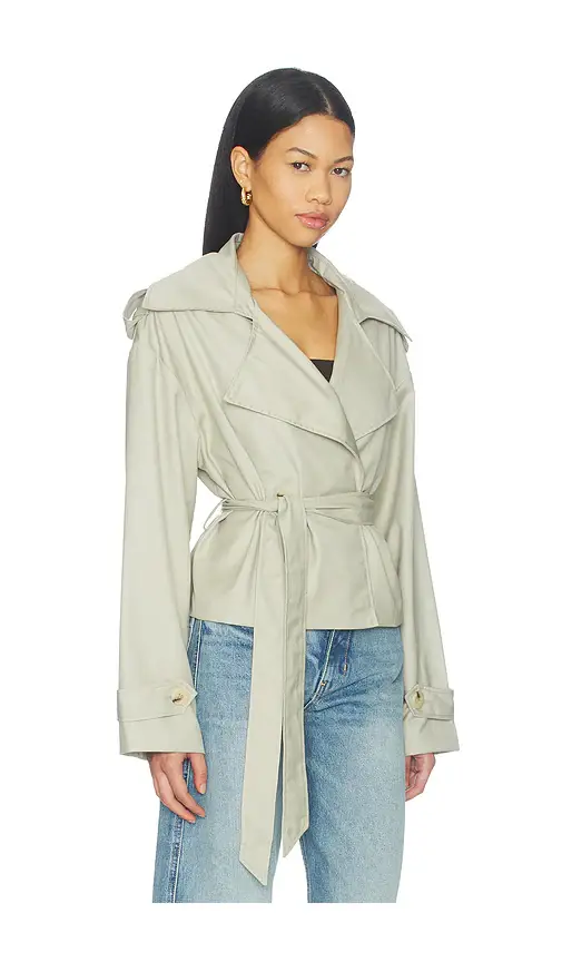 ALL THE WAYS Teyana Cropped Trench | Thumbnail 2