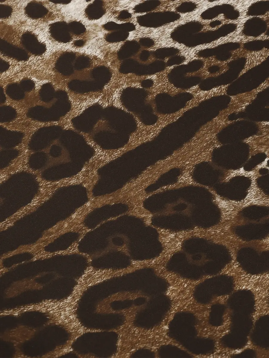 Dolce & Gabbana Leopardo Duvet Cover | Thumbnail 3 Dolce & Gabbana Leopardo Duvet Cover | Thumbnail 3
