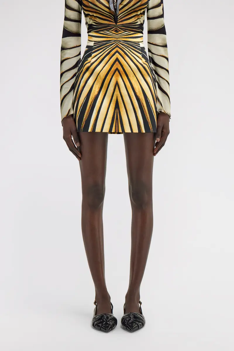 Roberto Cavalli Ray Of Gold Print Skirt | Thumbnail 2