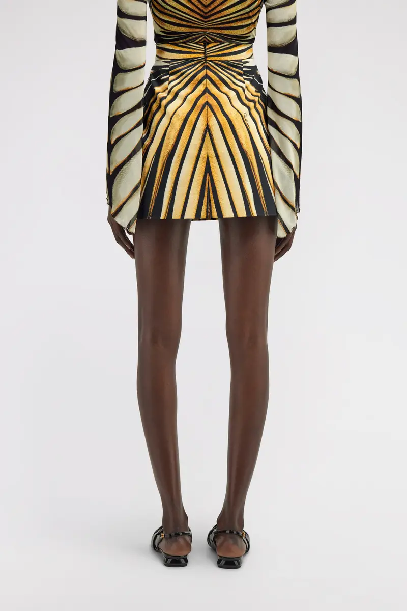 Roberto Cavalli Ray Of Gold Print Skirt | Thumbnail 3
