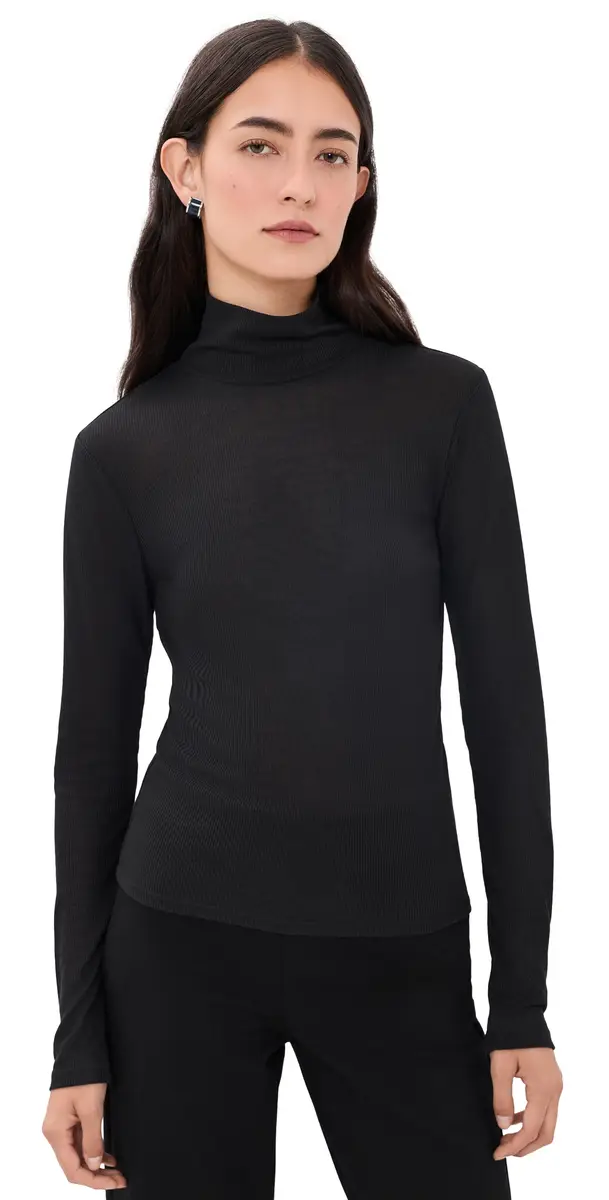 The Sheer Rib Turtleneck
