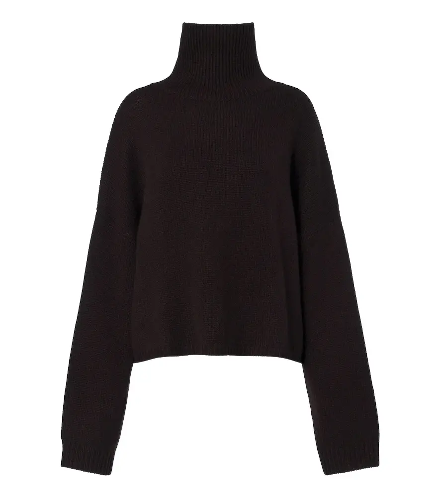 Zerlina cashmere turtleneck sweater