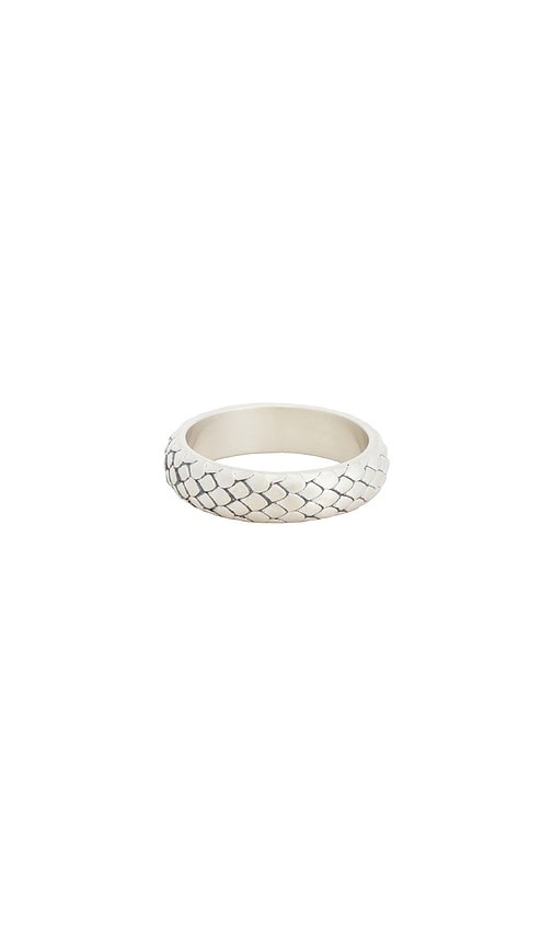 Serge de Nimes Scale Ring
