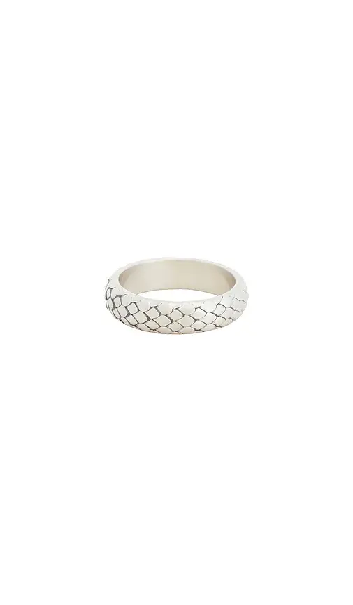 Scale Ring