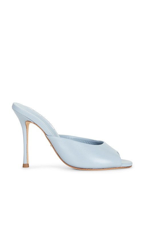 Sandra Mule Sandra Mule