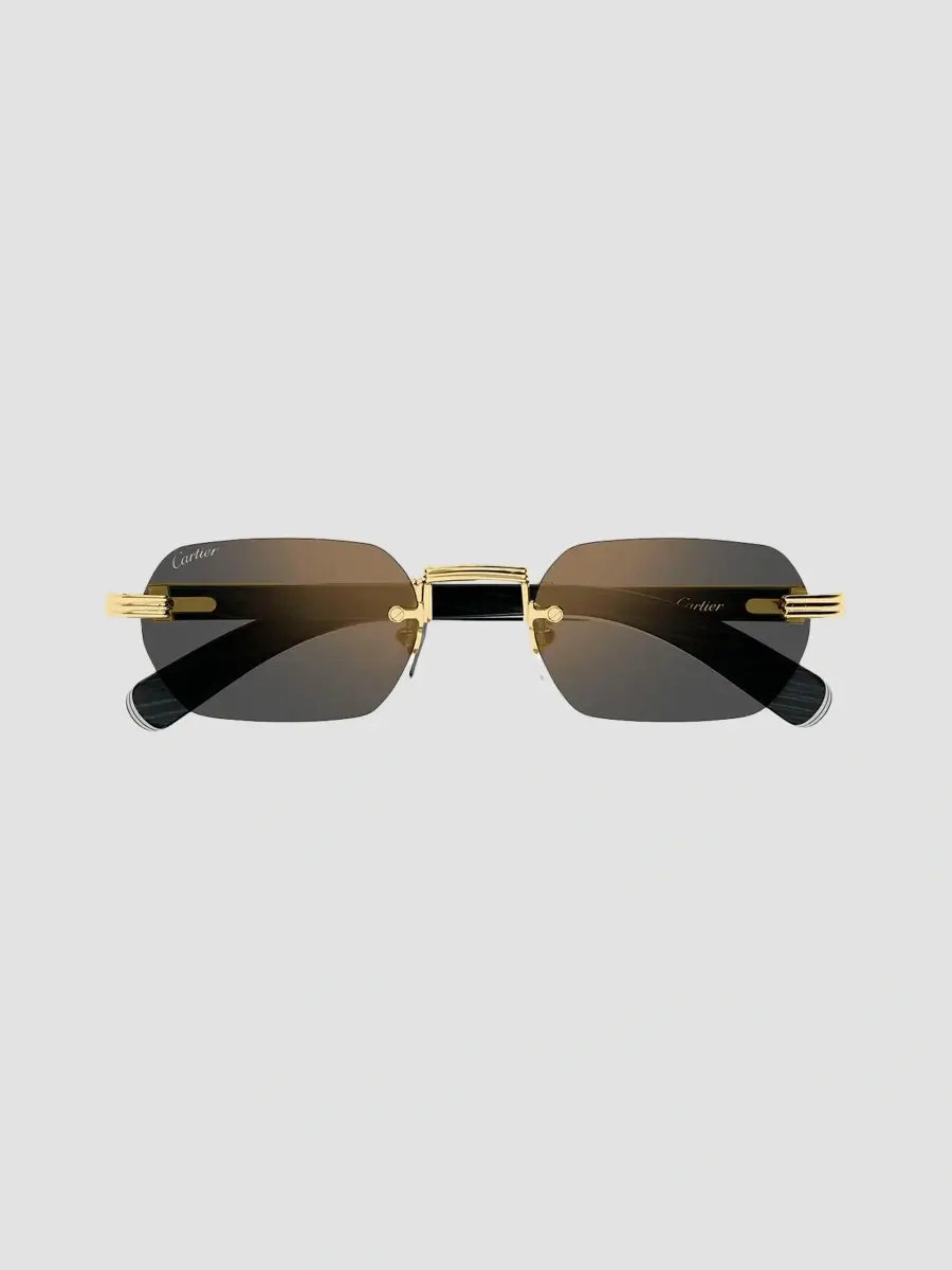 Cartier Men's Première De Ct0362S Metal & Wood Rimless Rectangular Sunglasses | Thumbnail 2 Cartier Men's Première De Ct0362S Metal & Wood Rimless Rectangular Sunglasses | Thumbnail 2