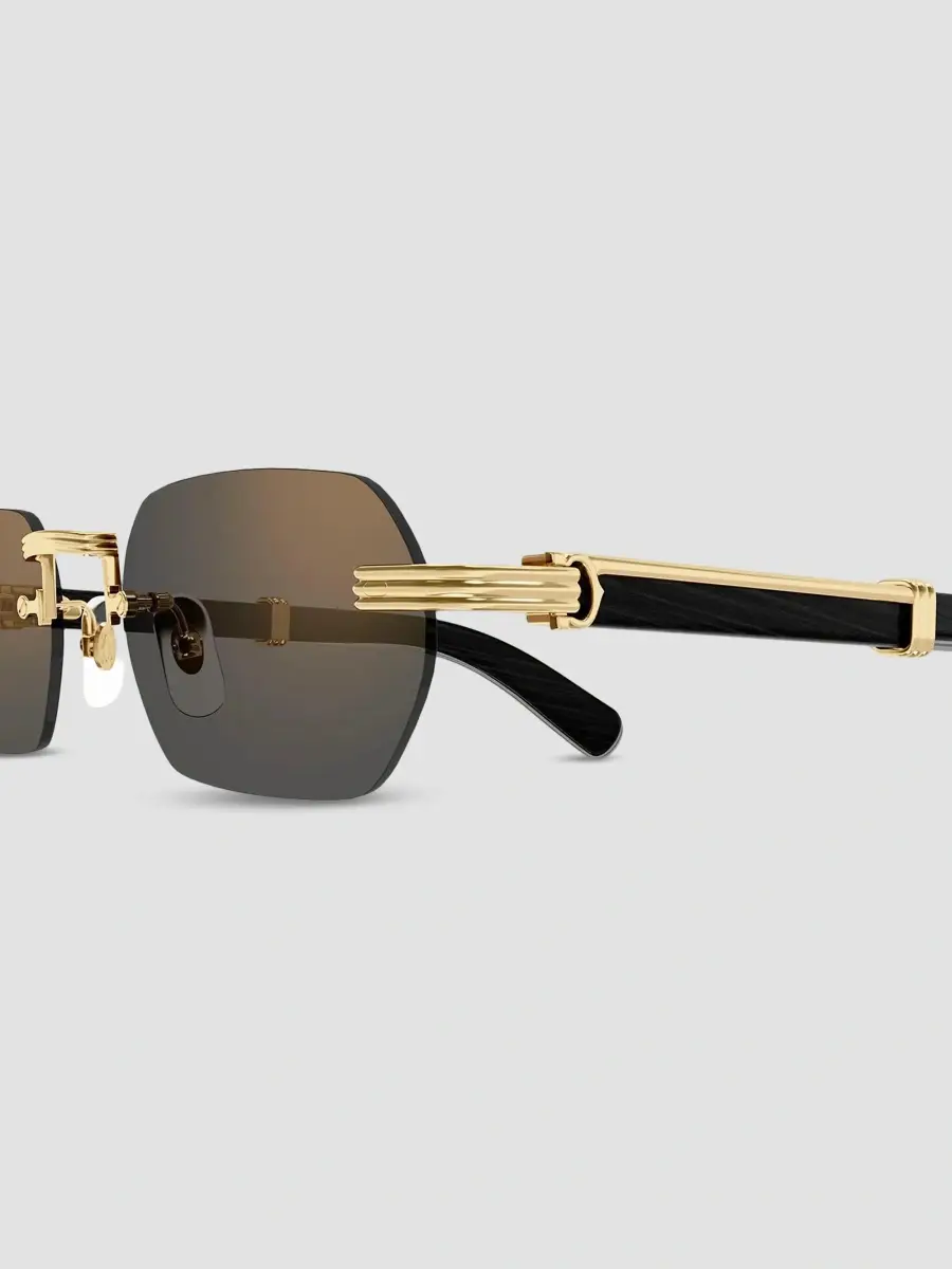 Cartier Men's Première De Ct0362S Metal & Wood Rimless Rectangular Sunglasses | Thumbnail 3 Cartier Men's Première De Ct0362S Metal & Wood Rimless Rectangular Sunglasses | Thumbnail 3