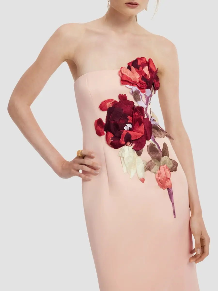LEO LIN Women's Sojourn Rayna Floral-Appliqué Strapless Maxi Dress | Thumbnail 5