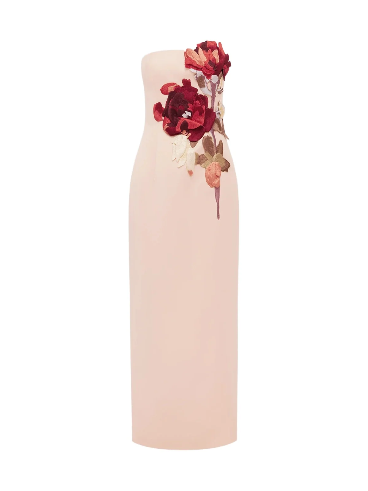LEO LIN Women's Sojourn Rayna Floral-Appliqué Strapless Maxi Dress