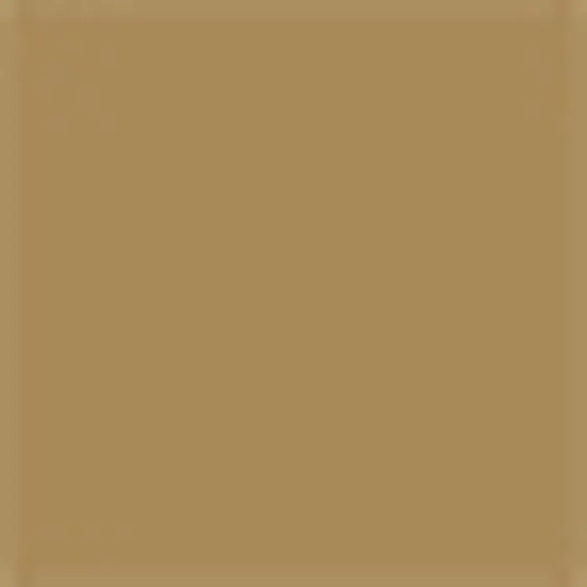 Wildwood Ginkgo Tray | Thumbnail 4 Wildwood Ginkgo Tray | Thumbnail 4