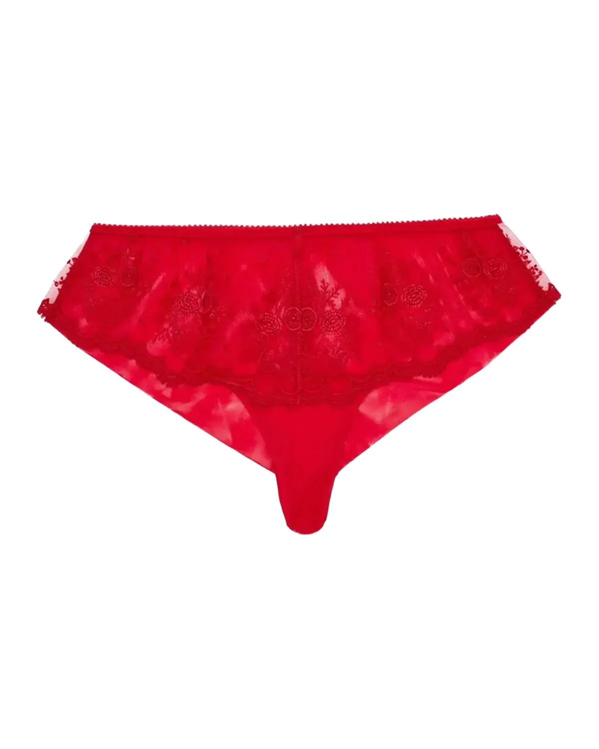 Intrigue Embroidered Tulle Boyshorts