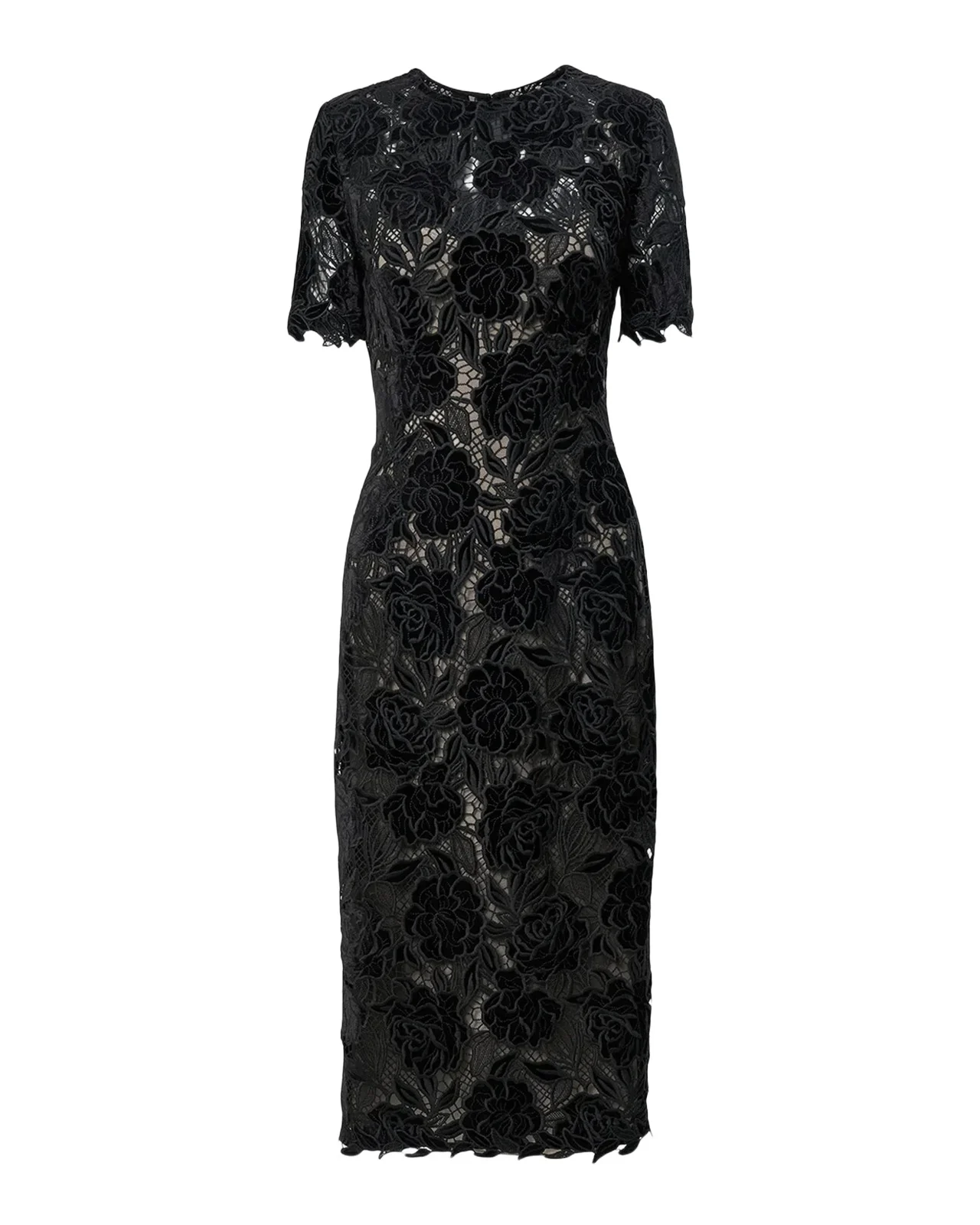 Floral Lace Knee-Length Dress