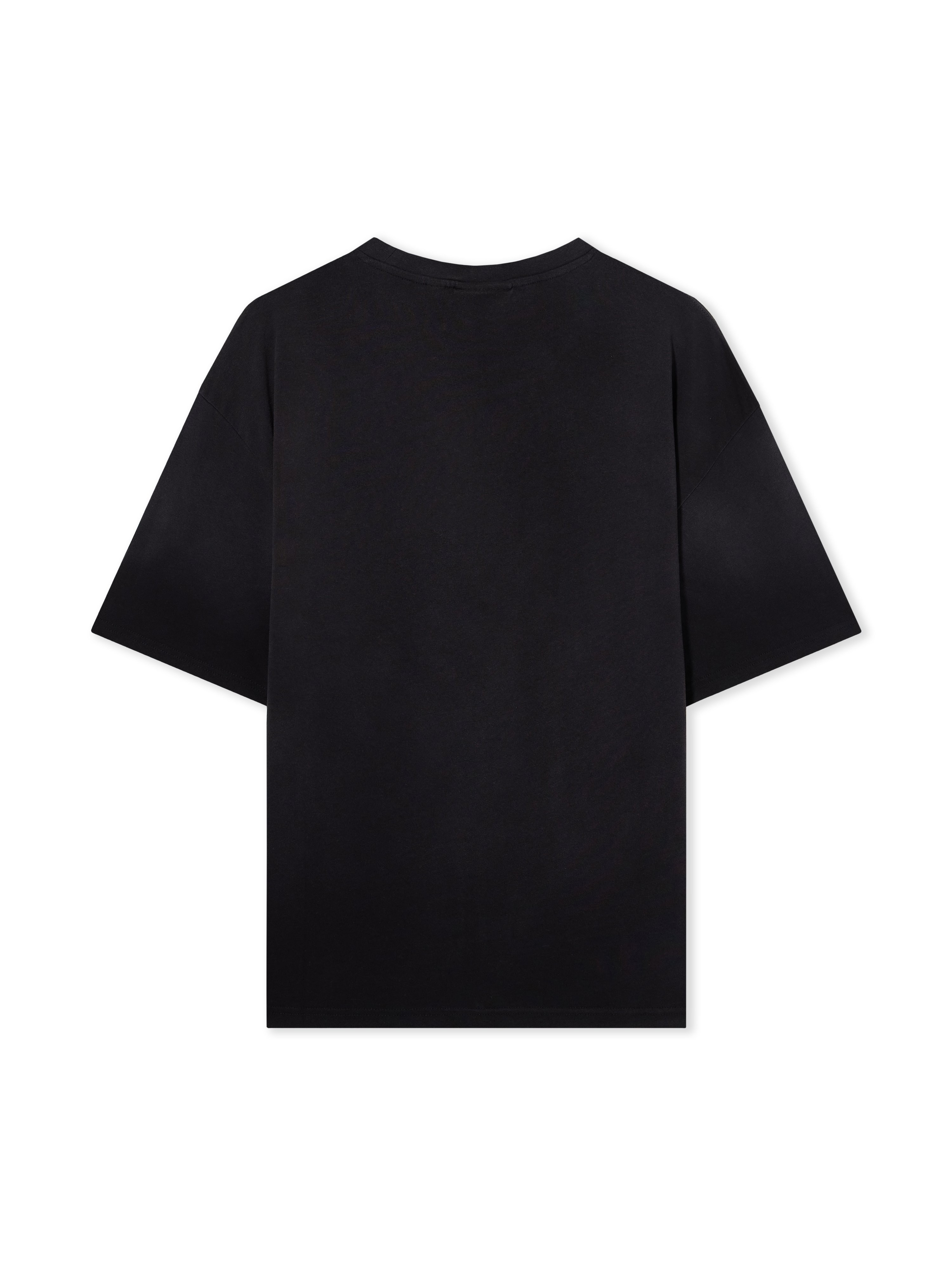 L/AB Diagonal Washed T-Shirt L/AB Diagonal Washed T-Shirt