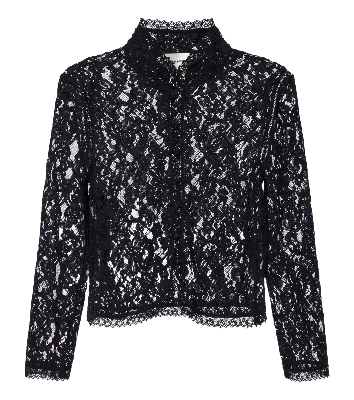 Salon sheer lace top