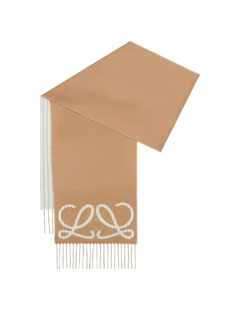Loewe 28x180 Cashmere Scarf in Beige/light Blue