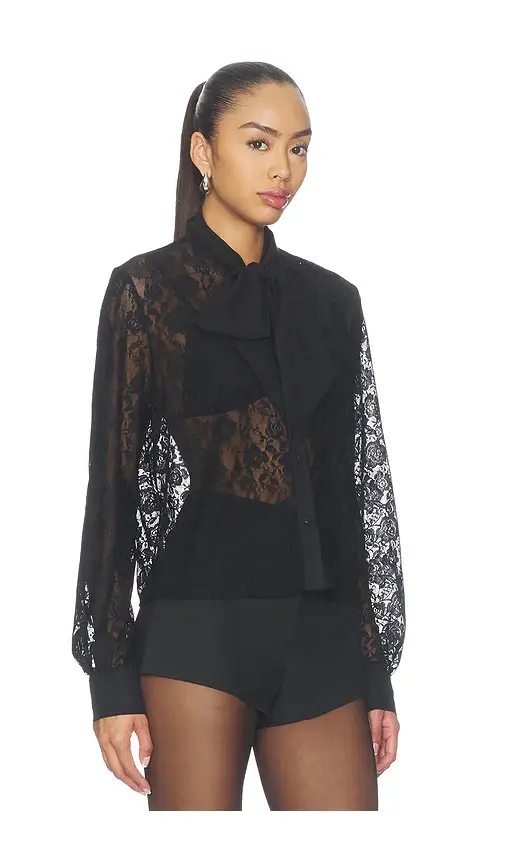 MORE TO COME Cinrella Lace Sheer Top | Thumbnail 2