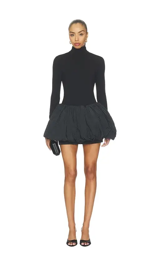 Long Sleeve Turtleneck Mini Dress