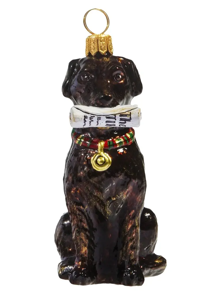 Joy To The World Pet Set Brown Lab With Newspaper Ornament