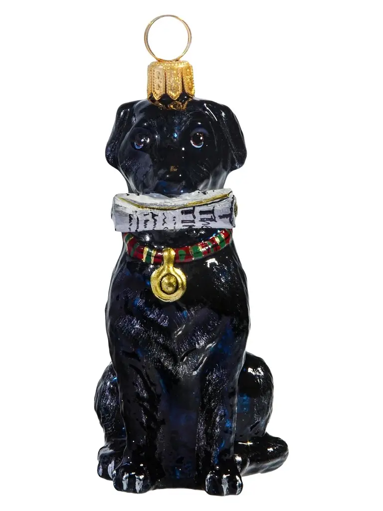 Joy To The World Pet Set Black Lab With Newspaper Ornament