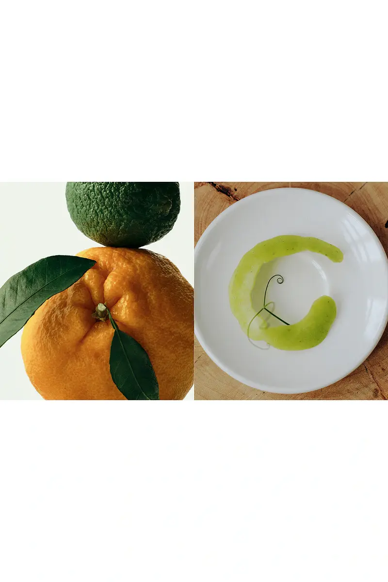 MIHAK Fanta Rei Hand | Thumbnail 5