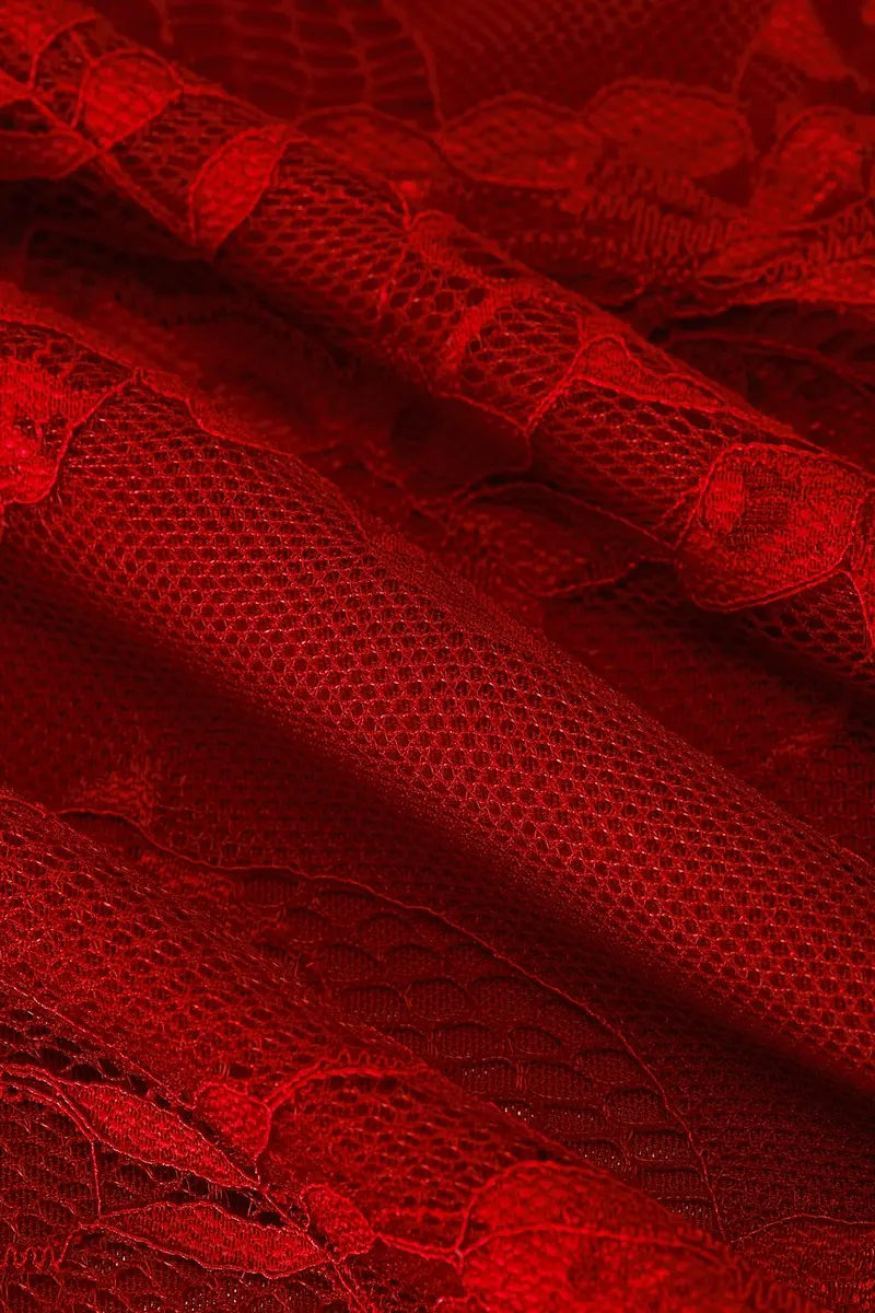 HAELO Lace Veiled Mini | Thumbnail 6 HAELO Lace Veiled Mini | Thumbnail 6
