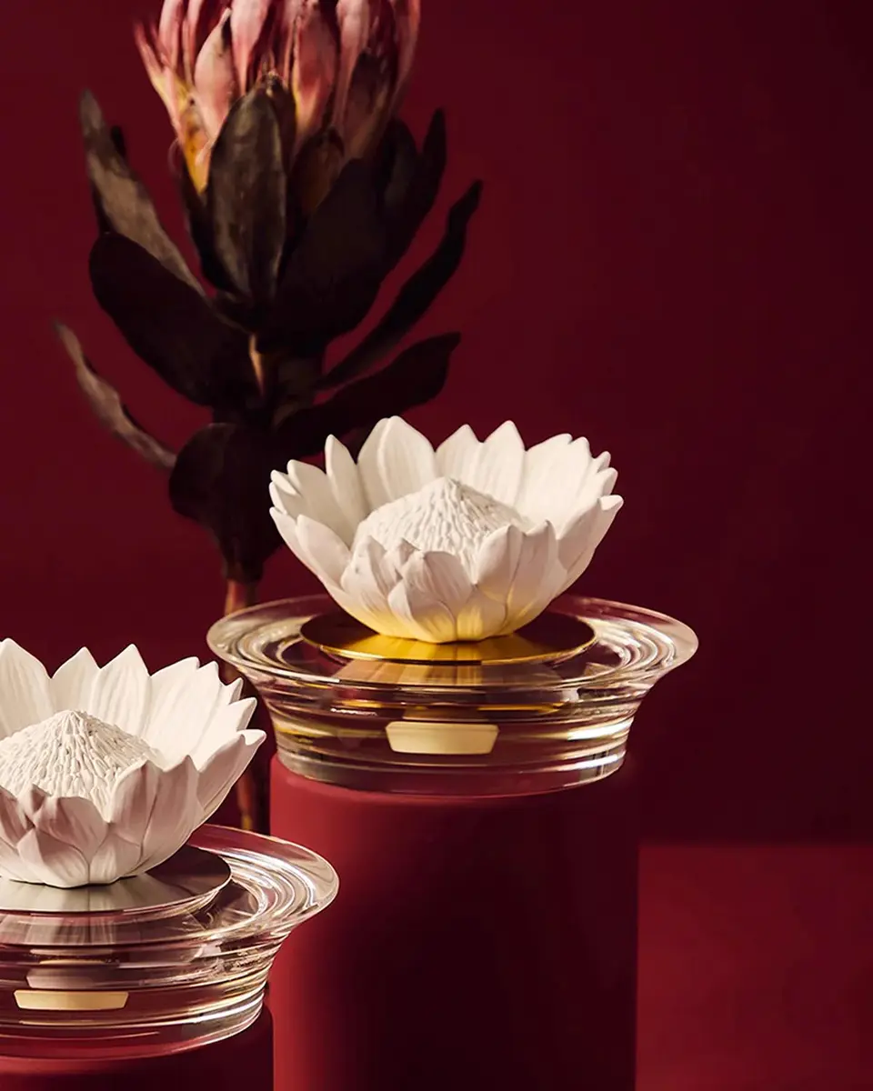 Tania Bulhoes Protea Chá Branco Diffuser | Thumbnail 4 Tania Bulhoes Protea Chá Branco Diffuser | Thumbnail 4