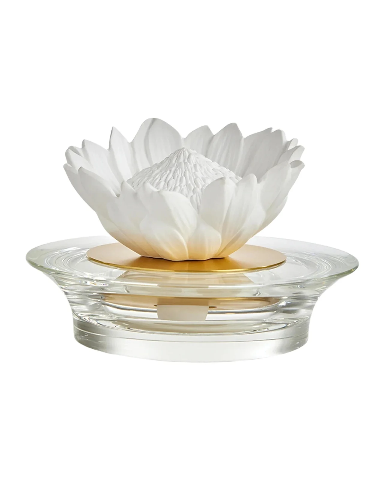 Tania Bulhoes Protea Chá Branco Diffuser