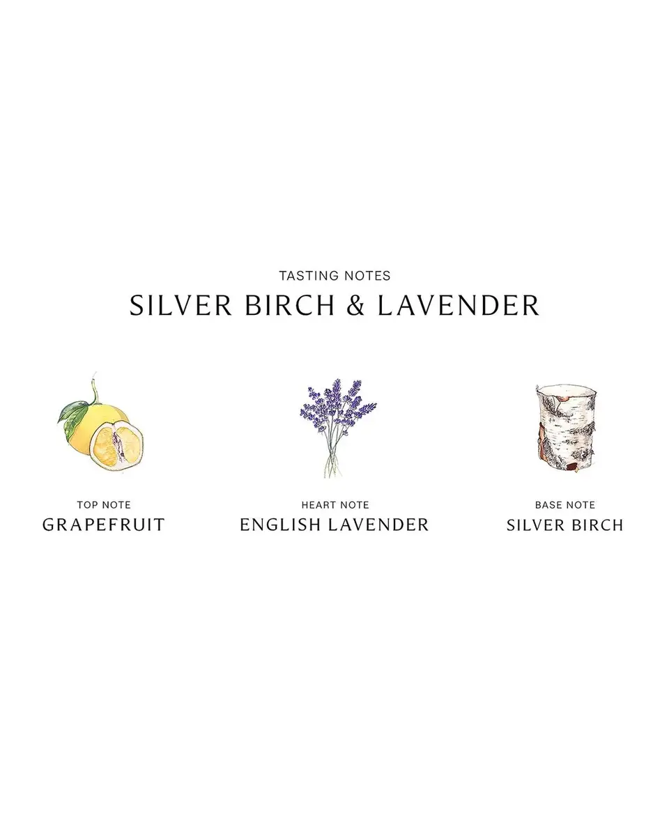 Jo Malone London Silver Birch & Lavender Cologne | Thumbnail 4 Jo Malone London Silver Birch & Lavender Cologne | Thumbnail 4