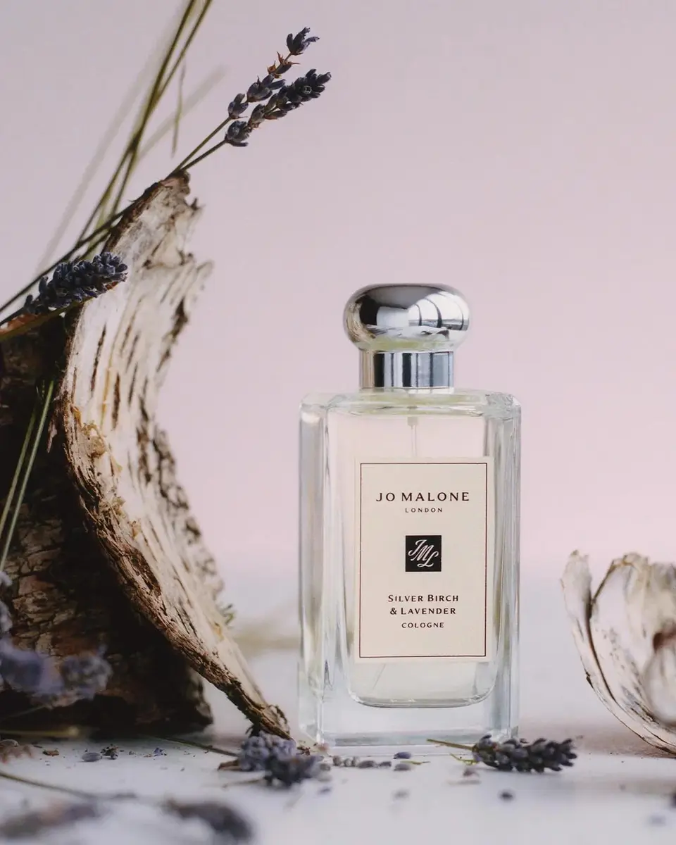Jo Malone London Silver Birch & Lavender Cologne | Thumbnail 5 Jo Malone London Silver Birch & Lavender Cologne | Thumbnail 5