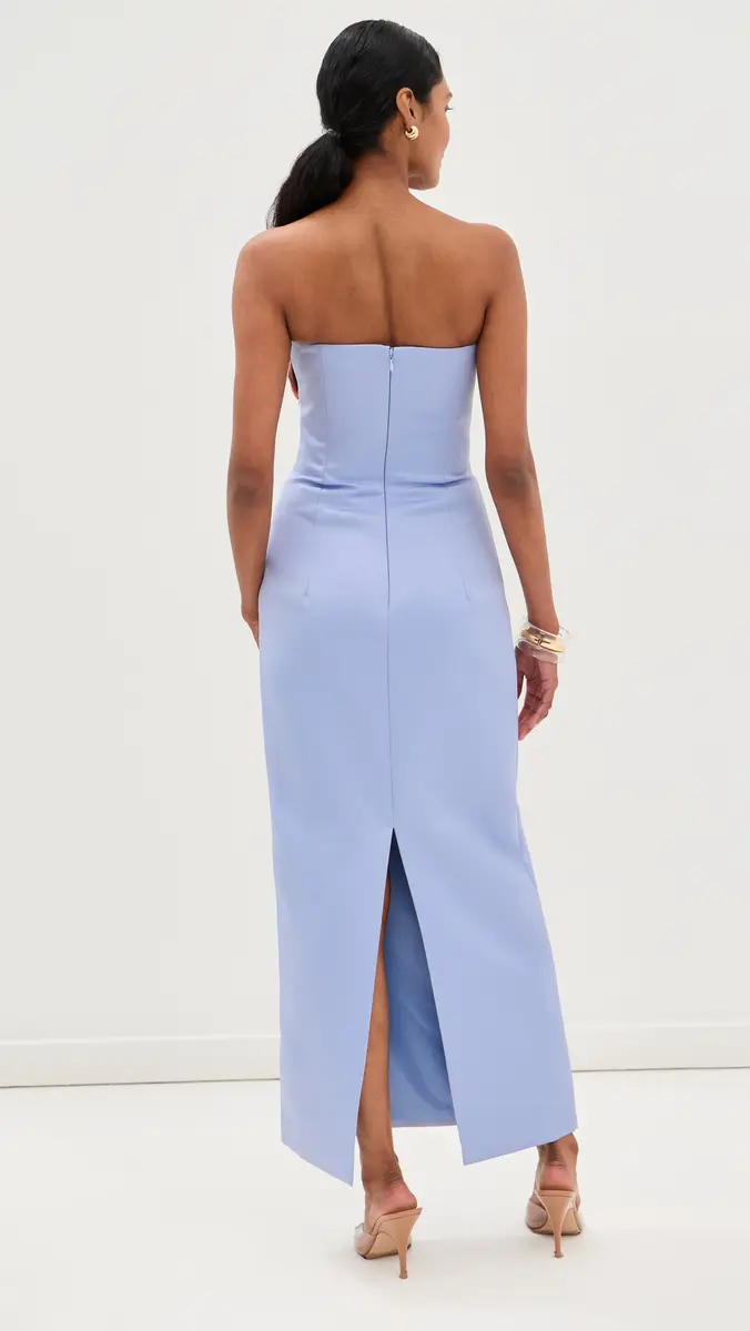 LEO LIN Rayna Embroidered Bustier Maxi Dress | Thumbnail 3