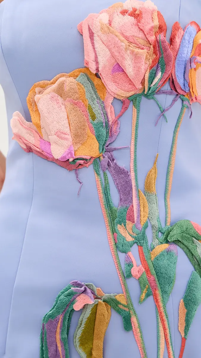 LEO LIN Rayna Embroidered Bustier Maxi Dress | Thumbnail 6