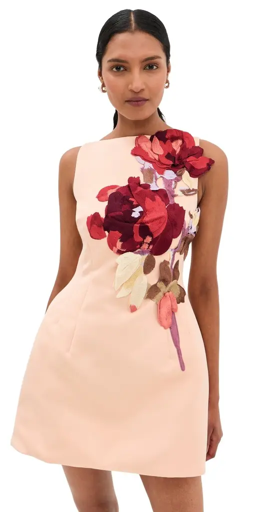 Ali Embroidered Boat Neck Mini Dress Ali Embroidered Boat Neck Mini Dress