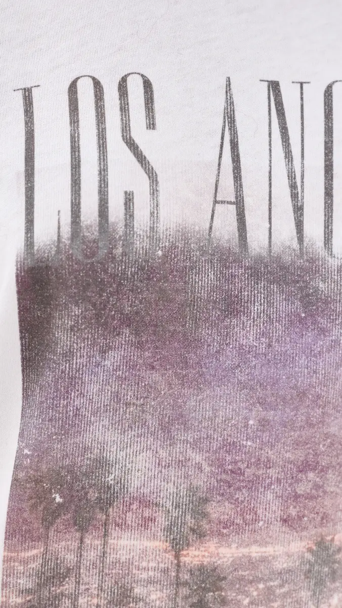 Anine Bing Cade Los Angeles Tee | Thumbnail 6