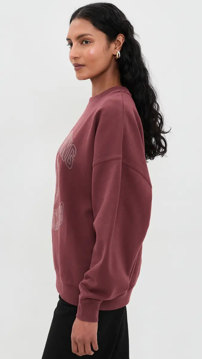 Anine Bing Miles Collegiate Sweatshirt | Thumbnail 4