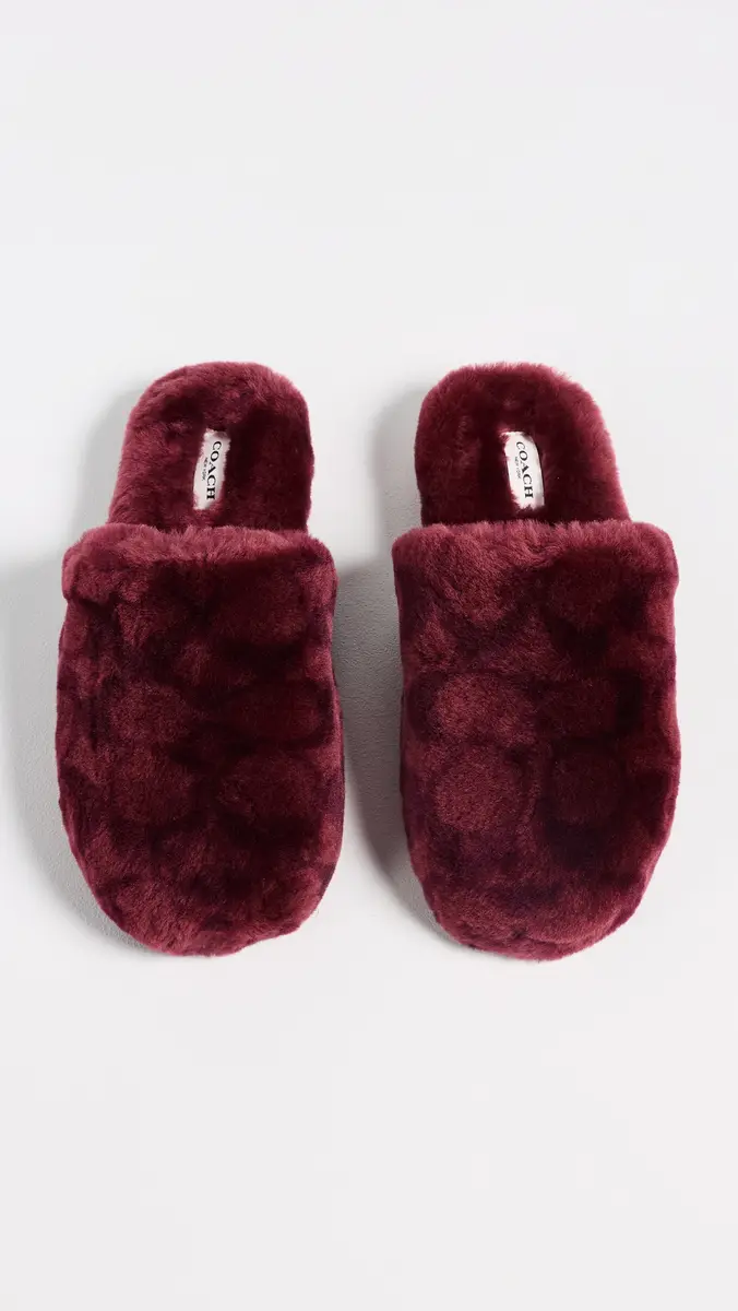 Coach Shearling Slippers | Thumbnail 5 Coach Shearling Slippers | Thumbnail 5